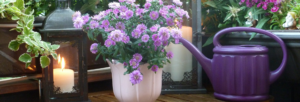 fleurs-balcon